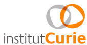 institut curie_logo